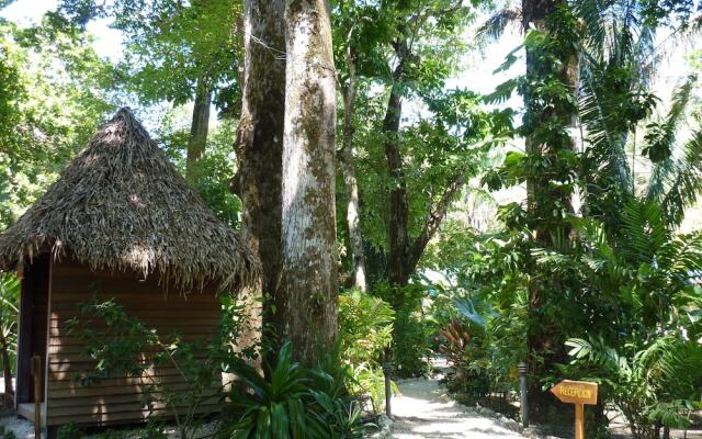 Hotel El Pequeño Gecko Verde