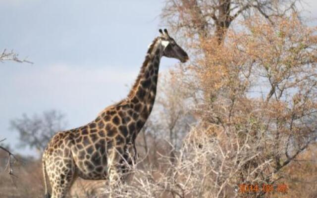 Thuhlo Lodge