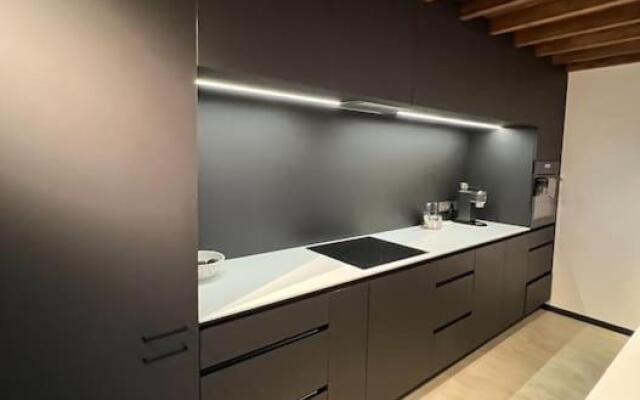 Huge modern flat in New town/Naujamiestis