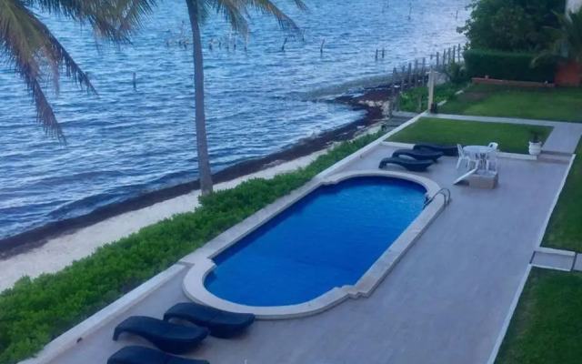 Flamingo Paradise Front by Cielo Maya