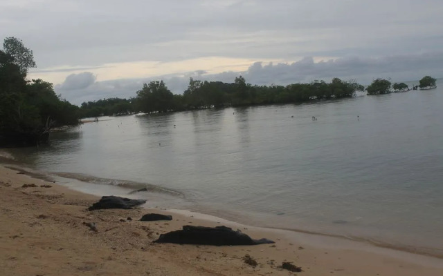 Walai Penyu Resort - Campground