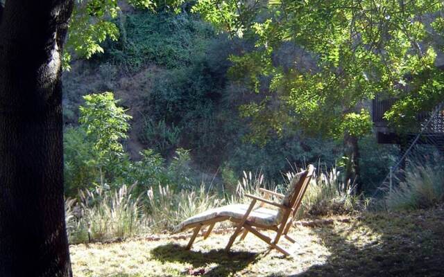 Hollywood Hills Canyon Breezes