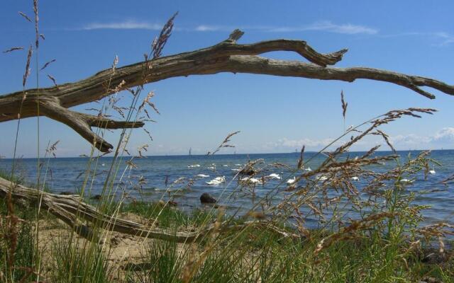 Ferienhaus Boddenhus