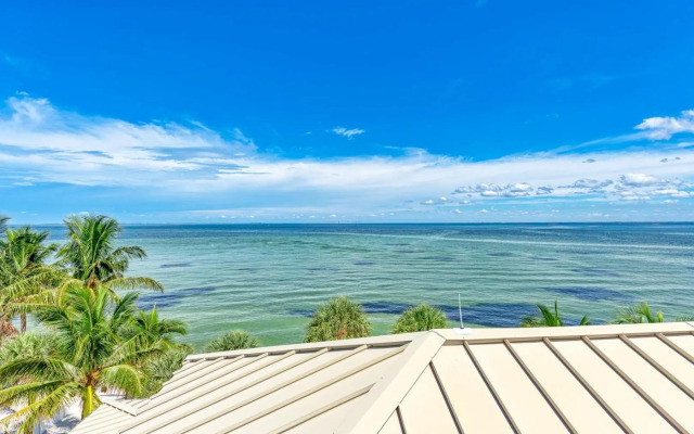 Dolphin Tales - 836 S Bay