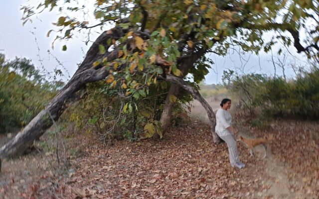 Tadoba Bodhivann Jungle Camp Nature's Sprout