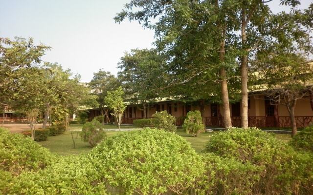 Wila Safari