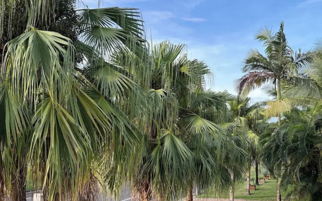 Sans Souci Apartments