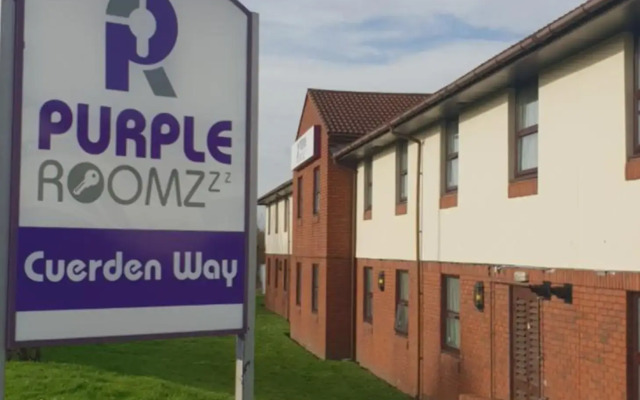 Purple Roomz
