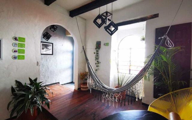 Vivo Hostel
