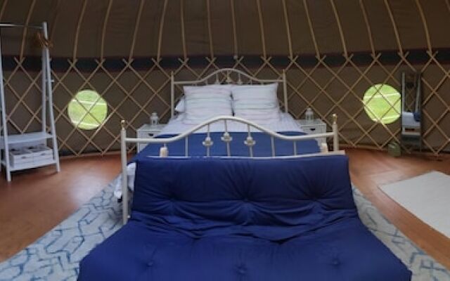 Looe Yurts