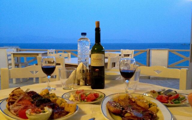 Paros Blue Dolphin