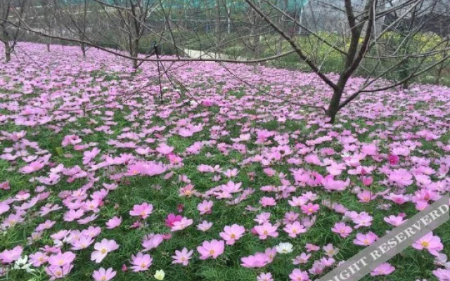 Wangtianhu Holiday Hotel