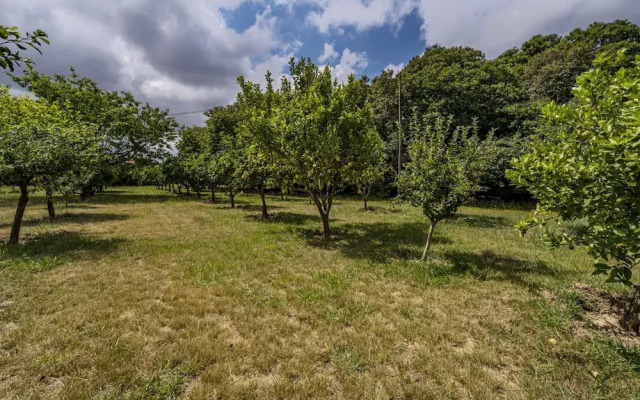 Nomad s Family - 4bdr Country House Macieira