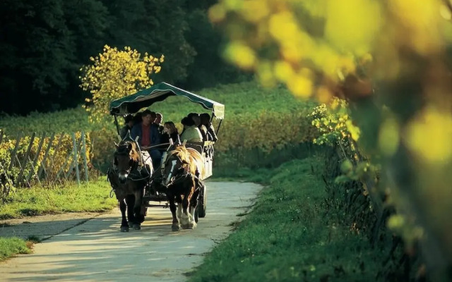 Hotel Deidesheimer Hof