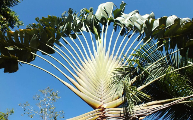 Cabinas Caribe Luna