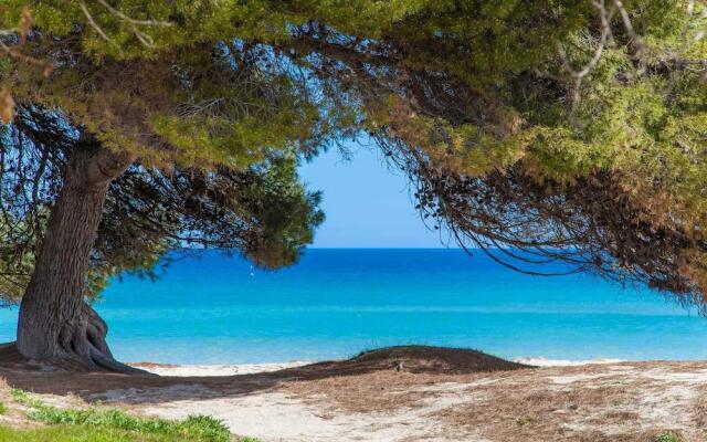 Sun Of The Bay Vidalba 3 (B2 - A3)