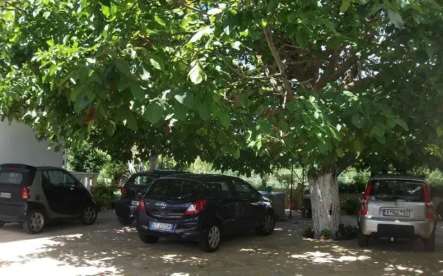Alexandros Walnuttree Arillas Corfu