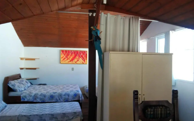 Tartaruga Azul