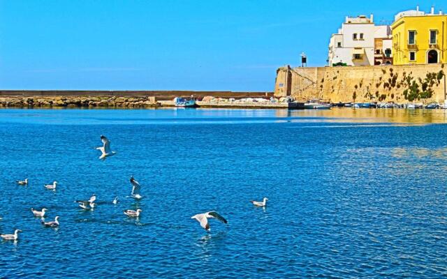 B&B Kalypso
