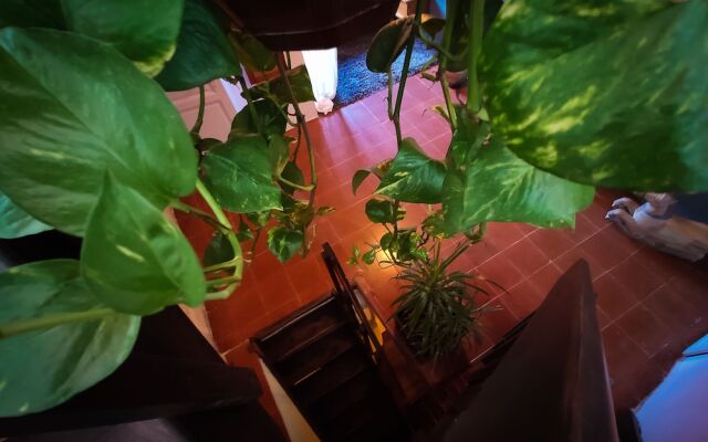 At Home in Arles