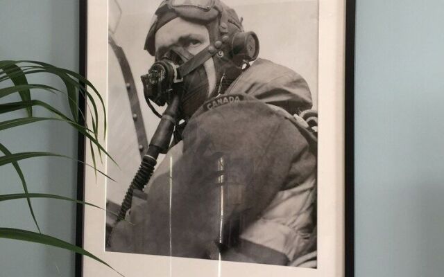D Day Aviators