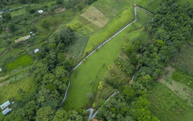 Serenity Rainforest Condos