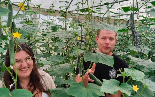 Nature valley homestay