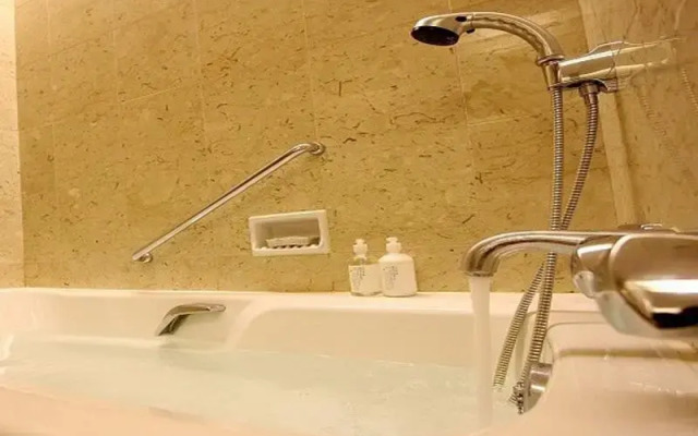 Hotel de Premiere Minowa