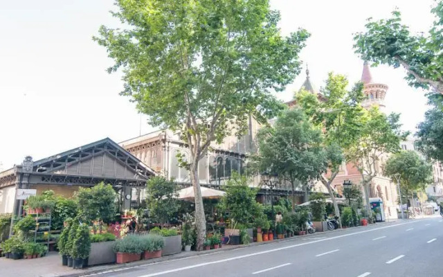 Espais Blaus - Market Concepció