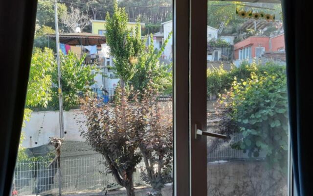 Manzara Ada Tepe