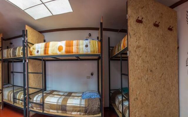 Magicpacker Hostel