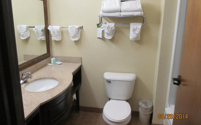 Comfort Suites Columbia - University Area