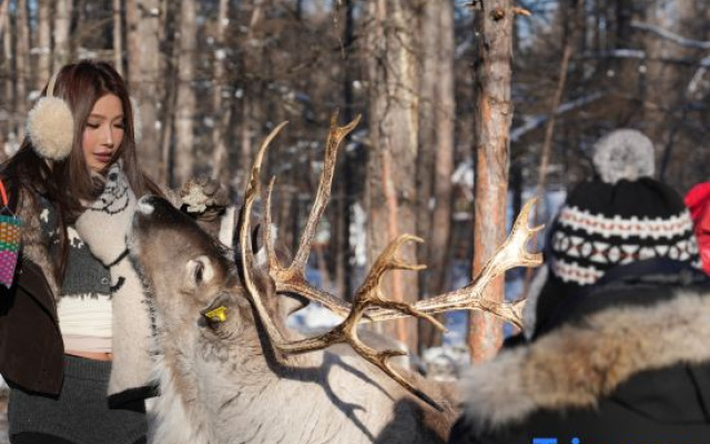 Hulunbergen River Reindeer Ji Homestay