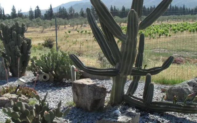 Agriturismo Il Nuraghe