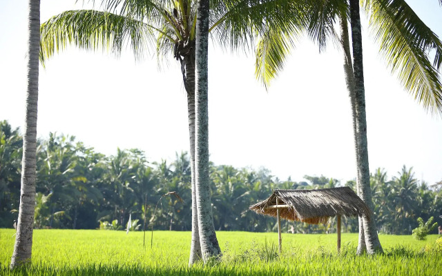 The Luxe Ubud
