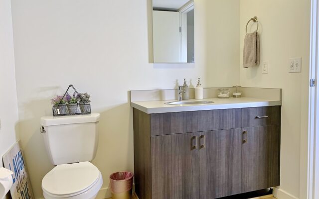 Modern Large Studio 99Wlkscore