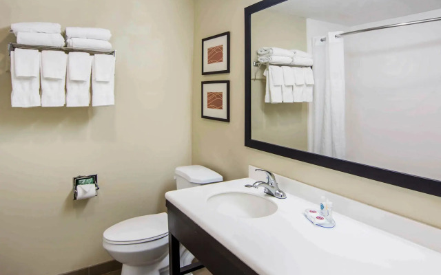 Comfort Inn Atlanta Downtown South