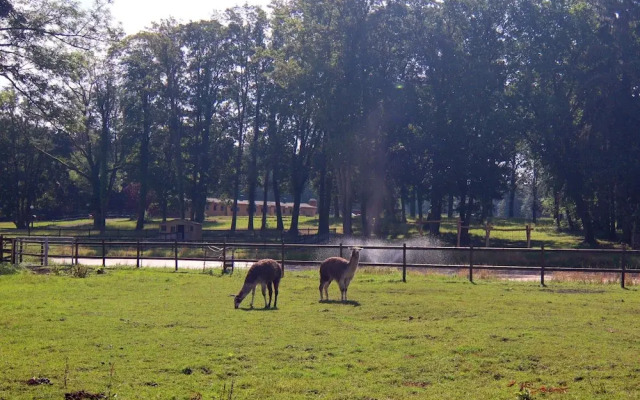 Holiday Home Oliver, Wendorf