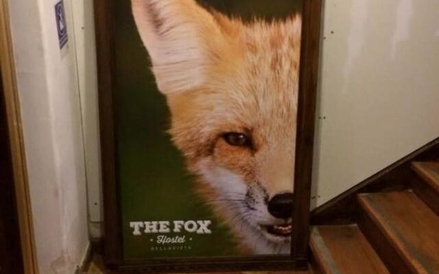 The Fox Hostel