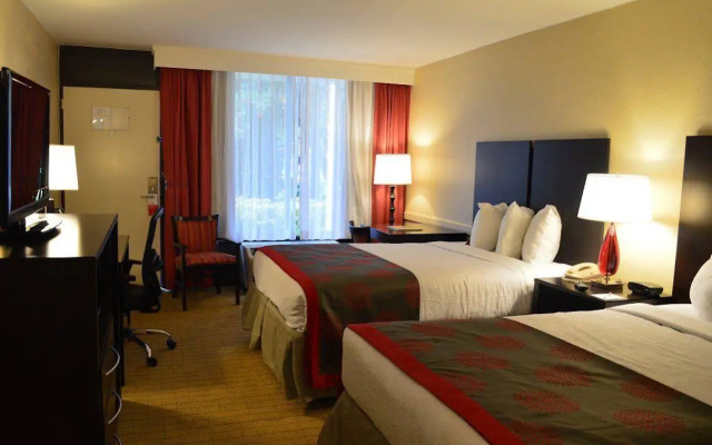 Collins Hotel Naples