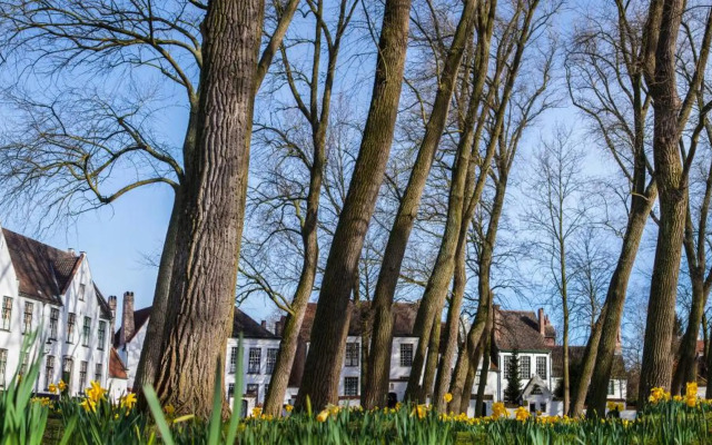 Ibis Budget Brugge Jabbeke