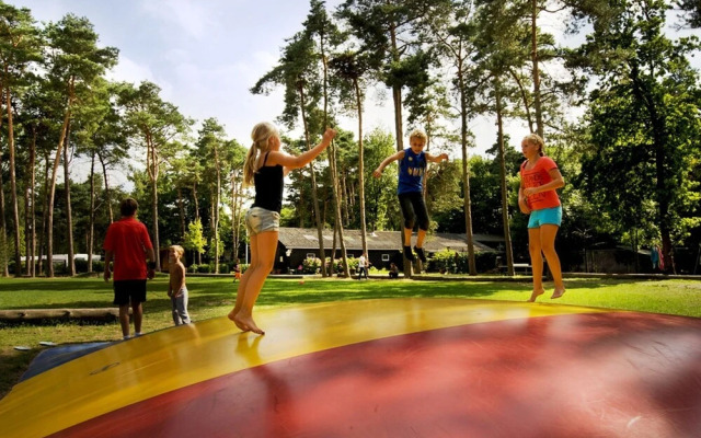 Furnished Chalet Located near Oisterwijkse Vennen