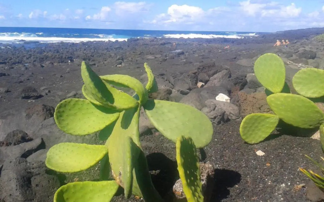 Holiday Home Av. Marítima