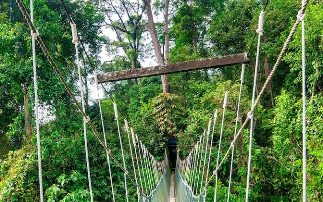Sutera Sanctuary Lodges at Poring Hot Springs