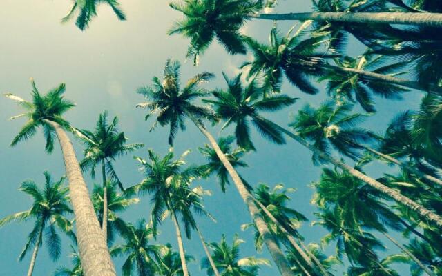 Big Bamboo de Uvita