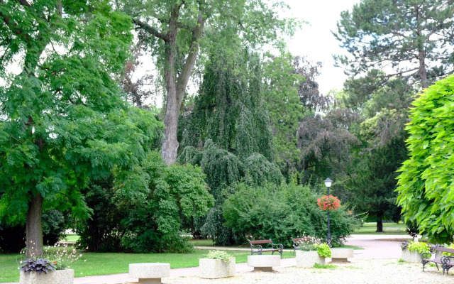 Luxury renovated apartment perfect for families