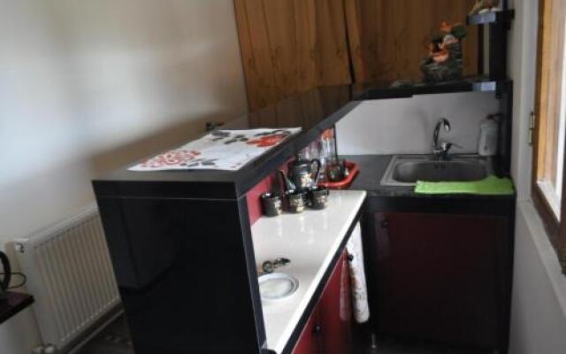 Guesthouse Dariali