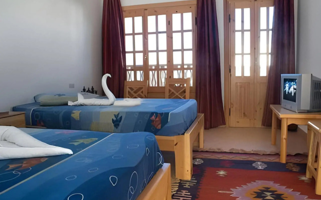 Star Of Dahab