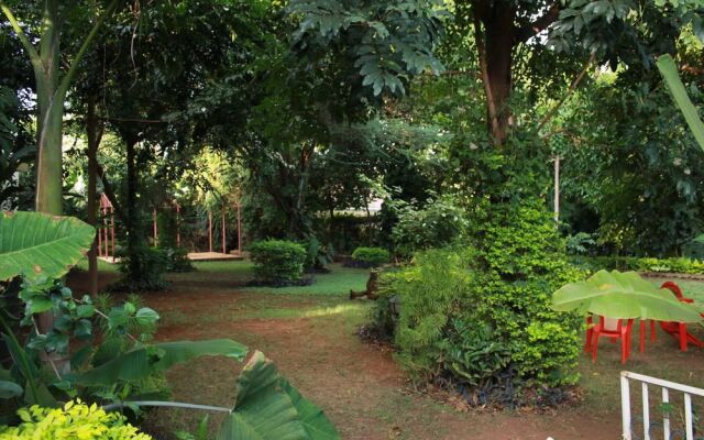 The Pink Daisy Bed and Breakfast