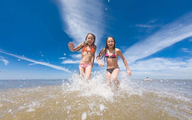 Moder Chalet With a Dishwasher, Behind the Dunes